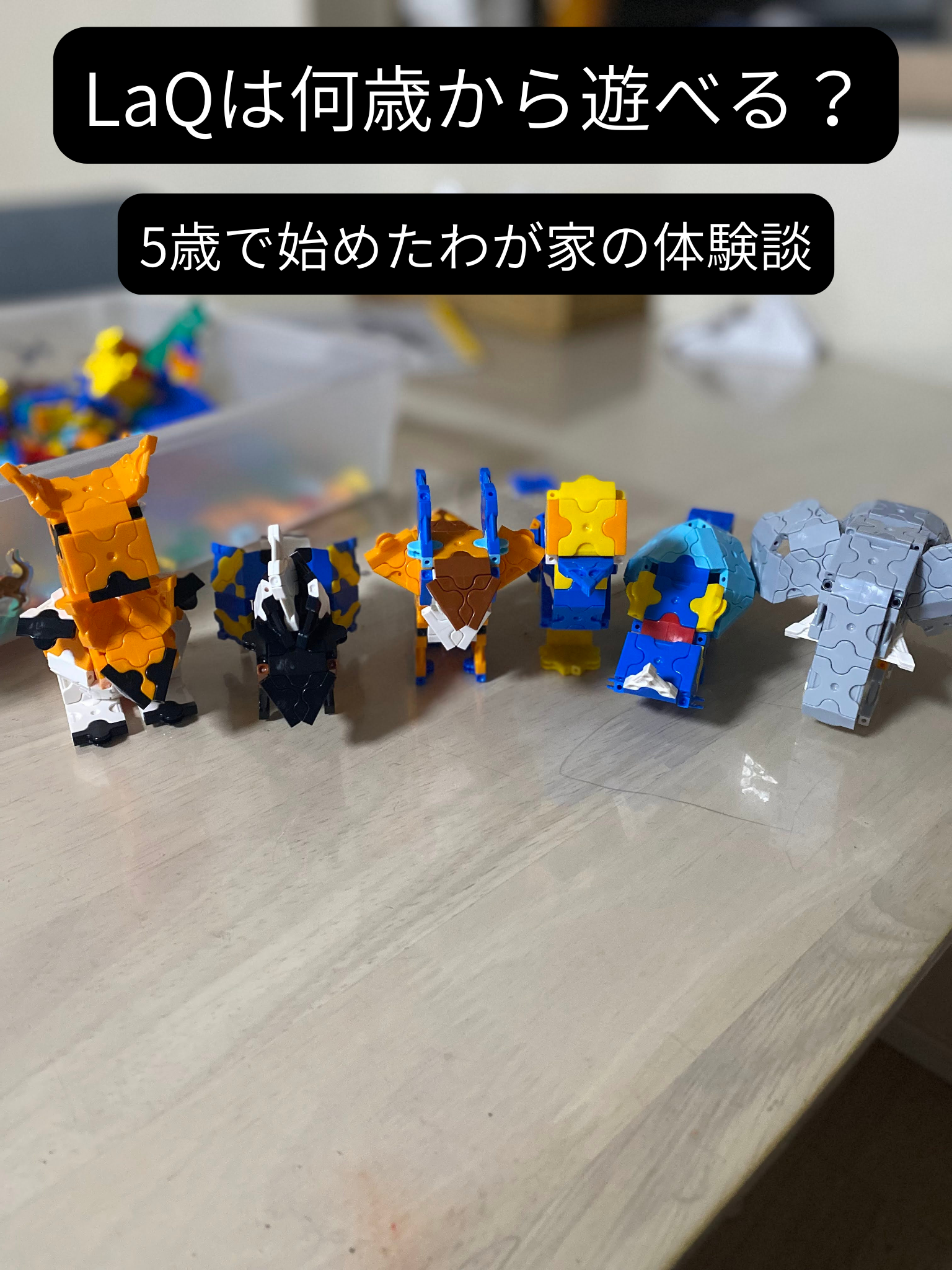 LaQは何歳から遊べる？5歳で始めたわが家の体験談