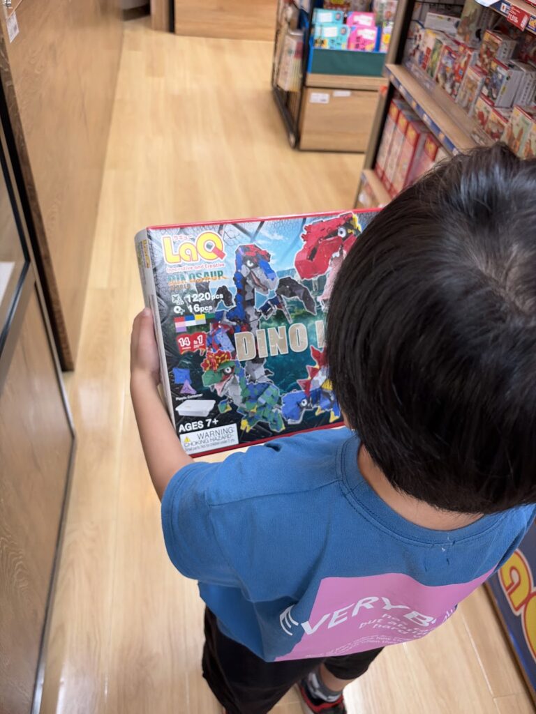 6歳の誕生日プレゼントにLaQディノレギオンを選ぶ様子