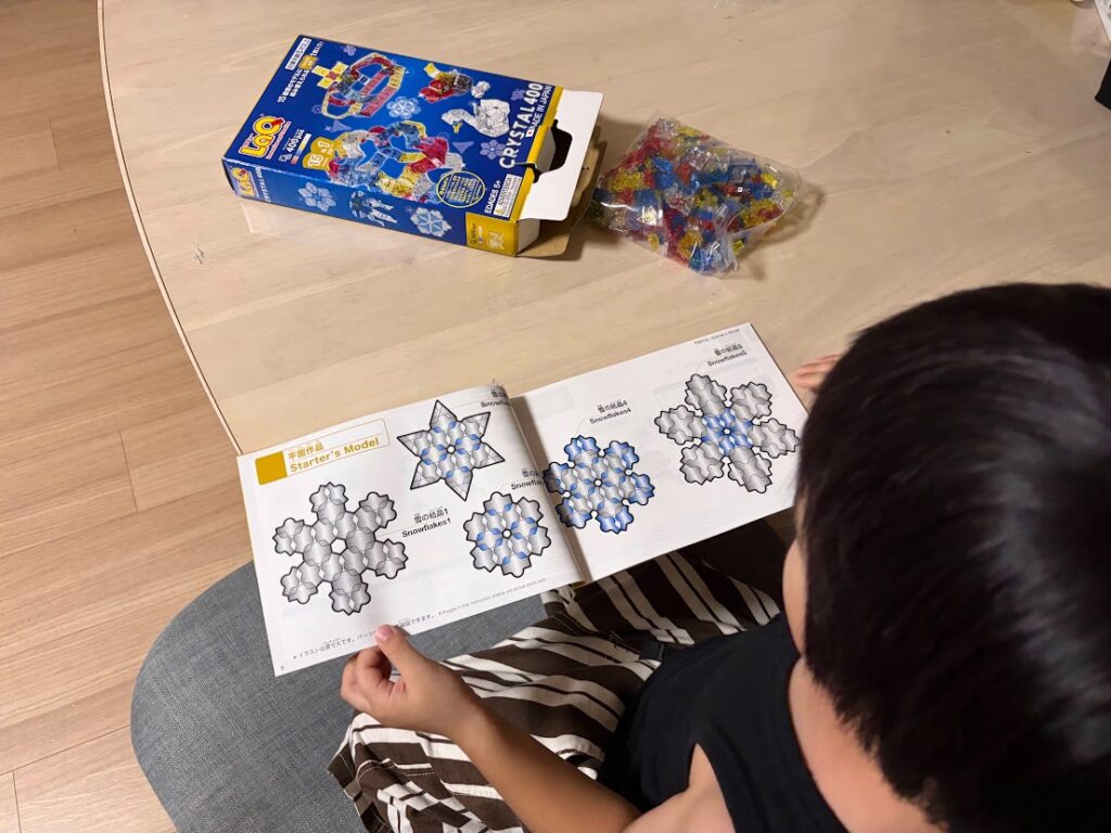 LaQクリスタル400の説明書を見る6歳の息子